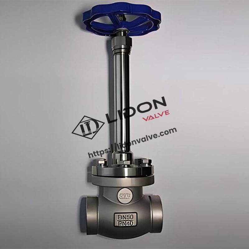 Stainless Steel Cryogenic Globe Valve