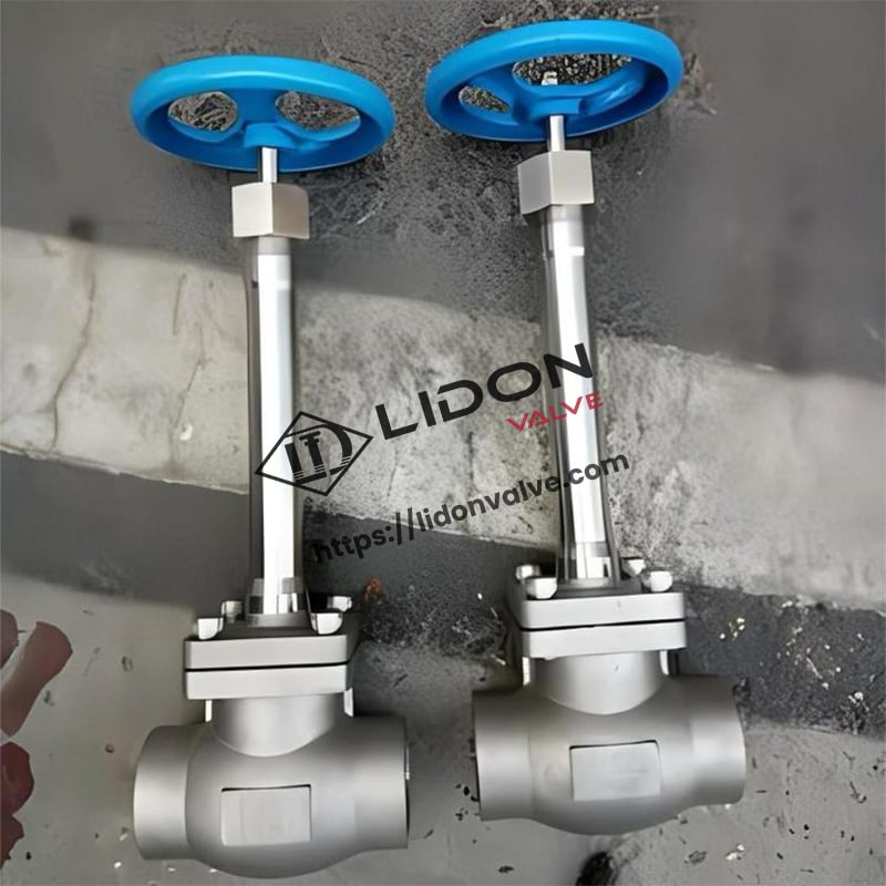 Stainless Steel Cryogenic Globe Valve