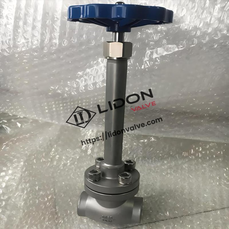 Stainless Steel Cryogenic Globe Valve