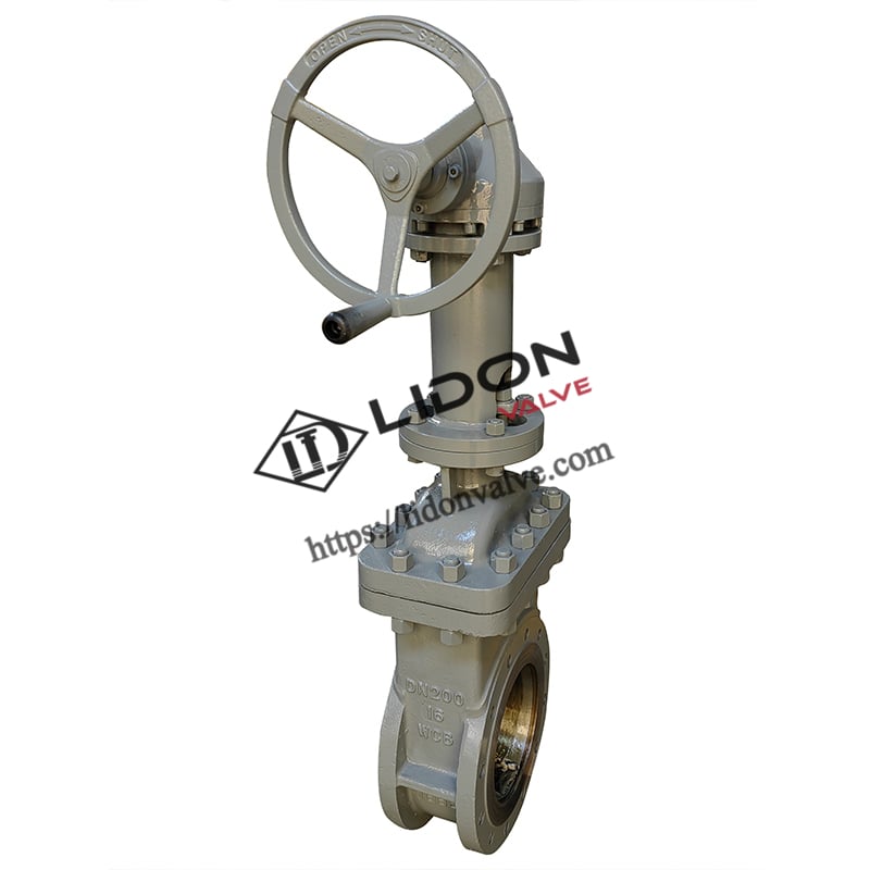 Two-phase Flow Gate Valve