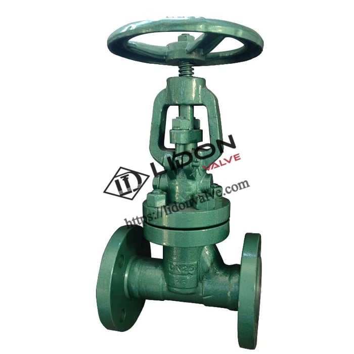 Vacuum Globe Valve