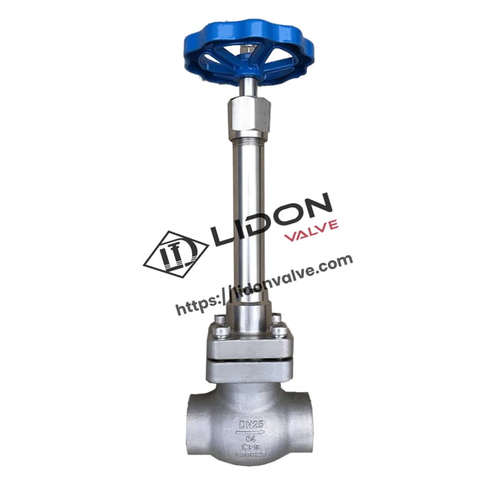 Stainless Steel Cryogenic Globe Valve